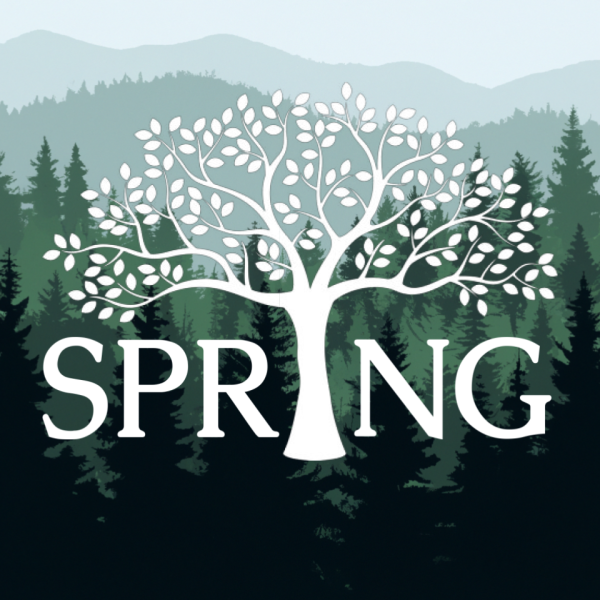 SPRINGGroupSocialMedia 2